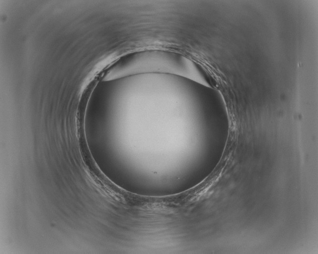 X0000072960244200608041200