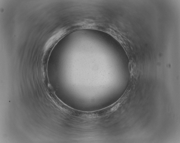 X0000072960245200608041200