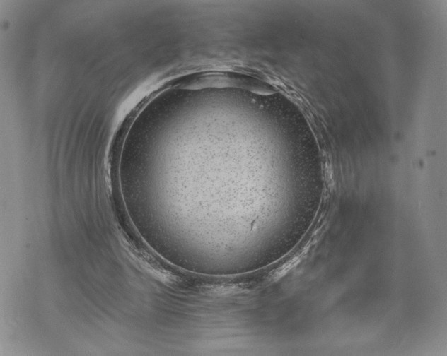 X0000072960246200608041200