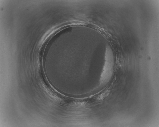 X0000072960247200608041200