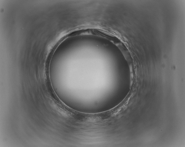 X0000072960248200608041200