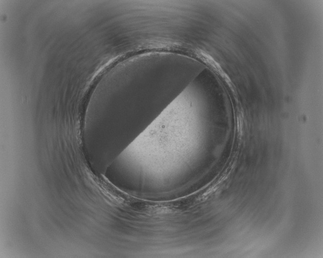 X0000072960249200608041200