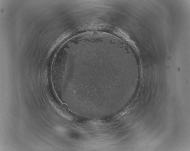 X0000072960250200608041200