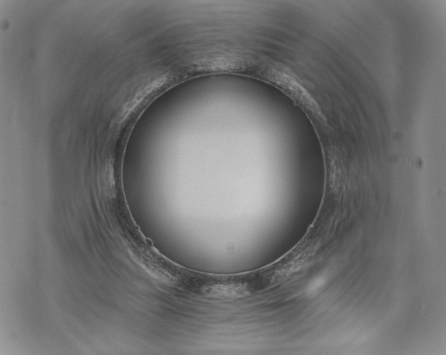 X0000072960251200608041200