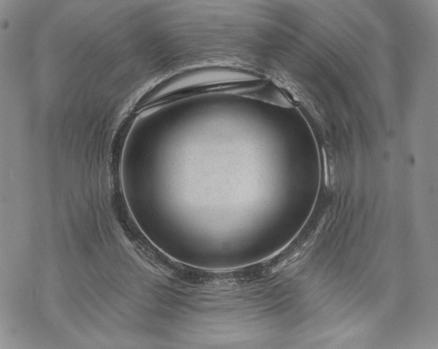 X0000072960252200608041200