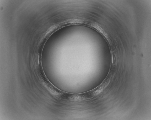 X0000072960253200608041200