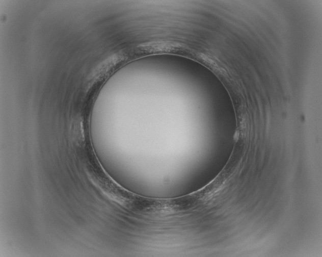 X0000072960254200608041200