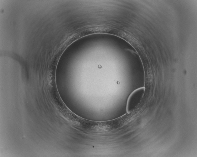 X0000072960255200608041200