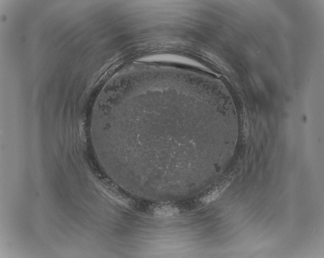 X0000072960258200608041200