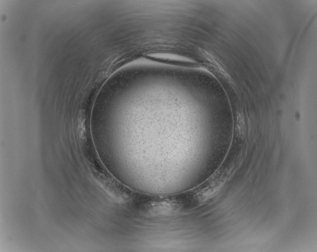 X0000072960259200608041200