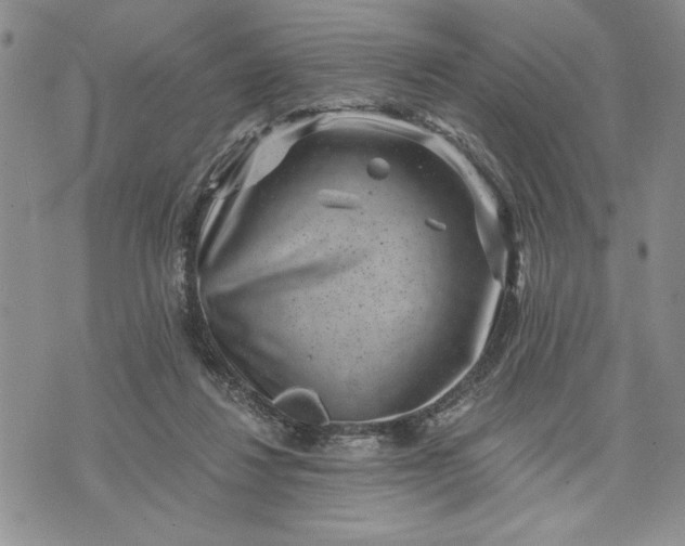 X0000072960260200608041200