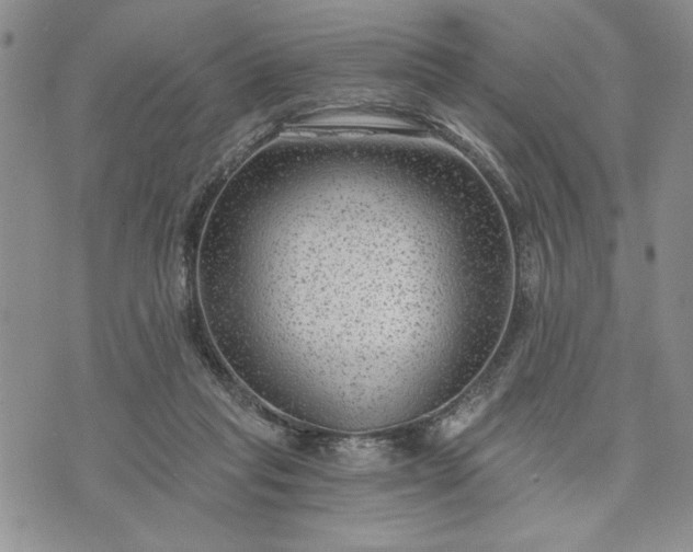 X0000072960261200608041200