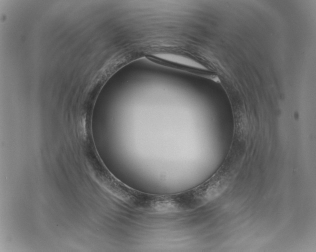 X0000072960262200608041200