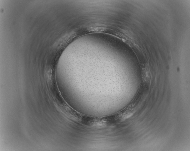 X0000072960263200608041200