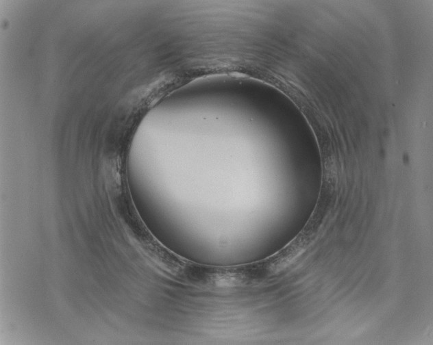 X0000072960264200608041200