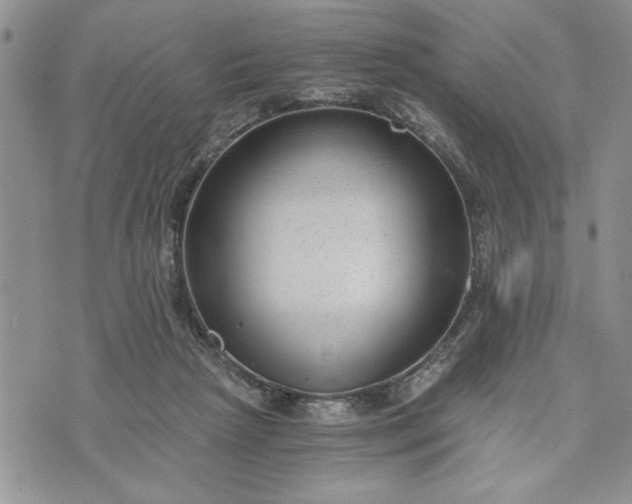 X0000072960265200608041200