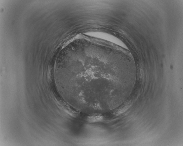 X0000072960266200608041200