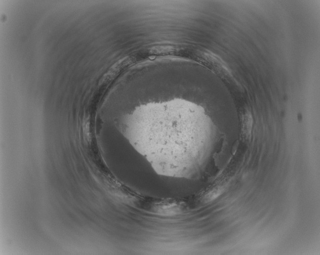 X0000072960267200608041200