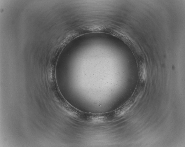 X0000072960268200608041200