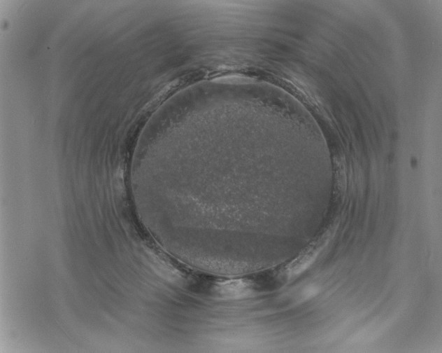 X0000072960269200608041200