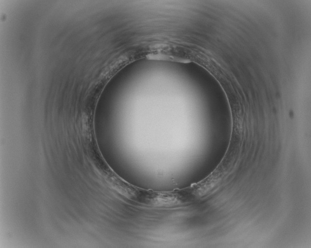 X0000072960270200608041200