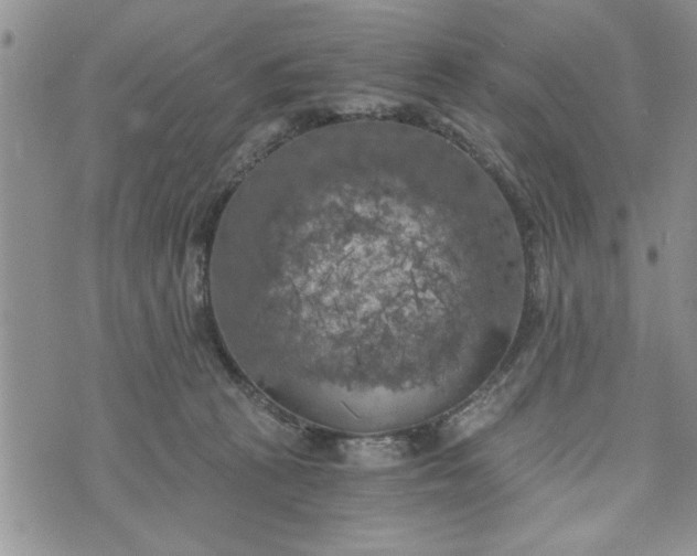 X0000072960273200608041200