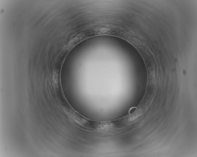 X0000072960274200608041200