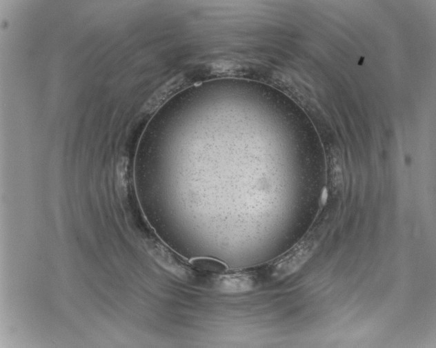 X0000072960275200608041200