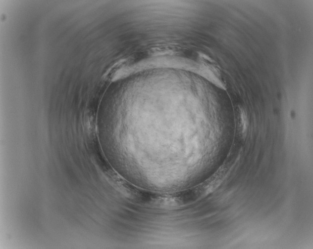 X0000072960276200608041200