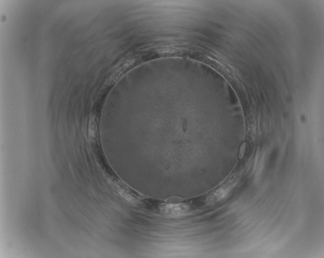 X0000072960277200608041200