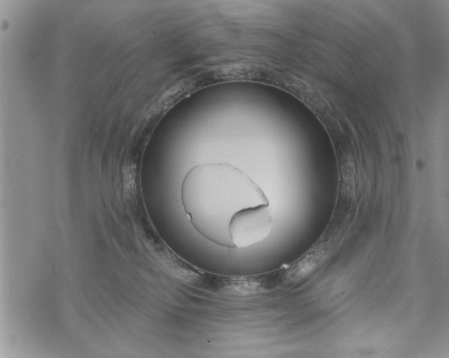 X0000072960278200608041200