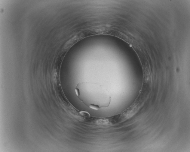 X0000072960279200608041200