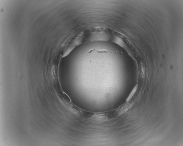 X0000072960280200608041200