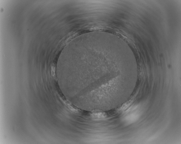 X0000072960281200608041200