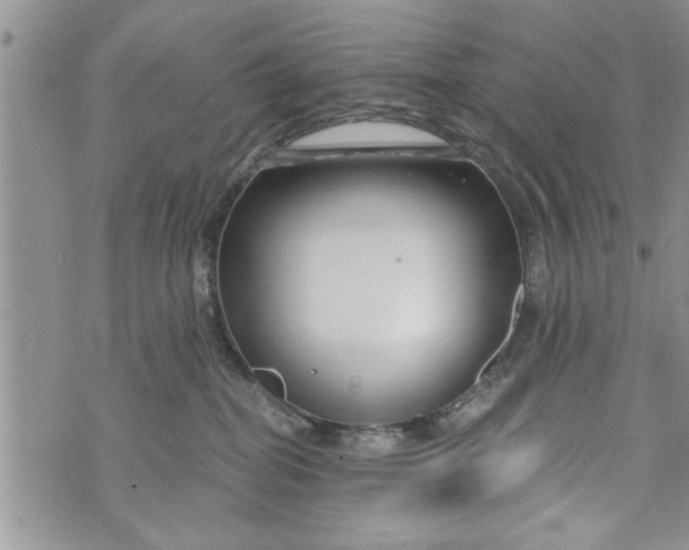 X0000072960282200608041200