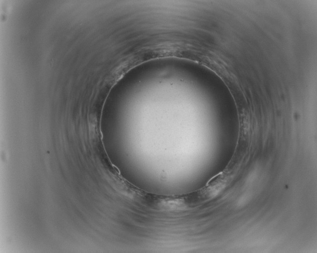 X0000072960283200608041200