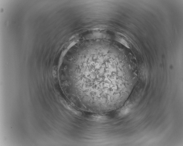 X0000072960284200608041200