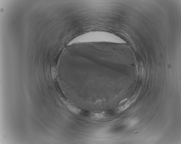 X0000072960285200608041200