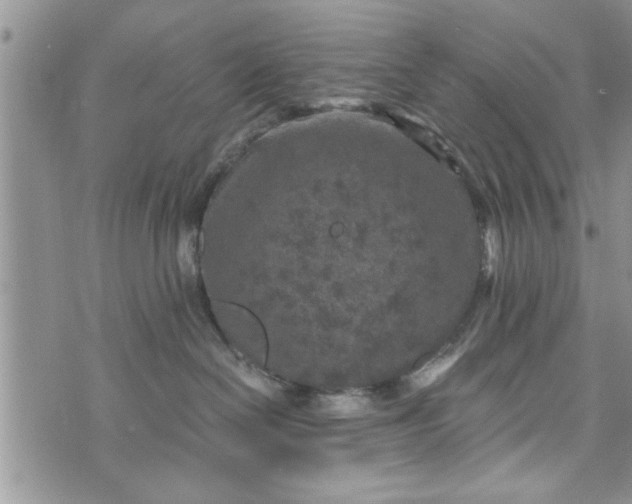 X0000072960286200608041200