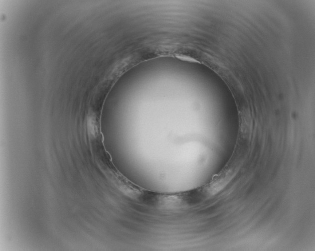 X0000072960287200608041200