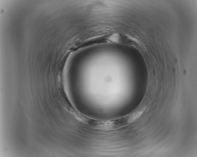 X0000072960288200608041200