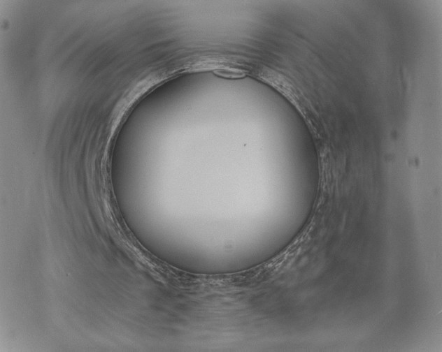 X0000072960289200608041200