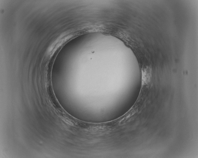 X0000072960291200608041200