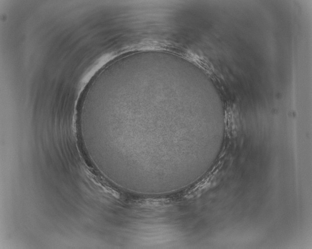 X0000072960292200608041200