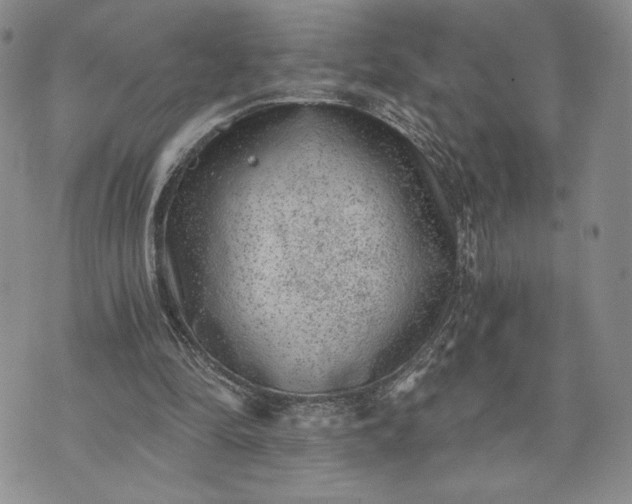 X0000072960294200608041200