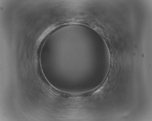 X0000072960295200608041200