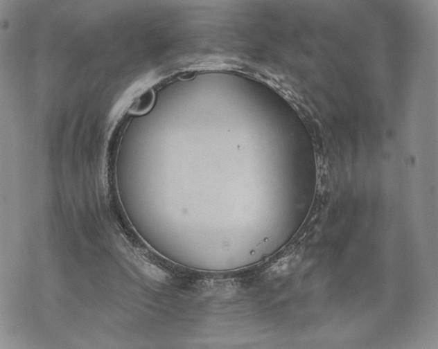 X0000072960296200608041200