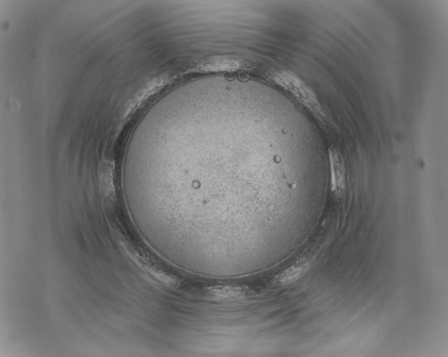 X0000072960300200608041159