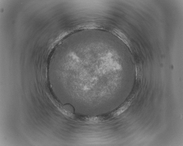 X0000072960301200608041159