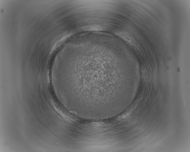 X0000072960302200608041159